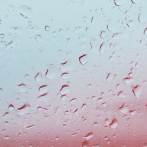 Meet your Posher, Reagan